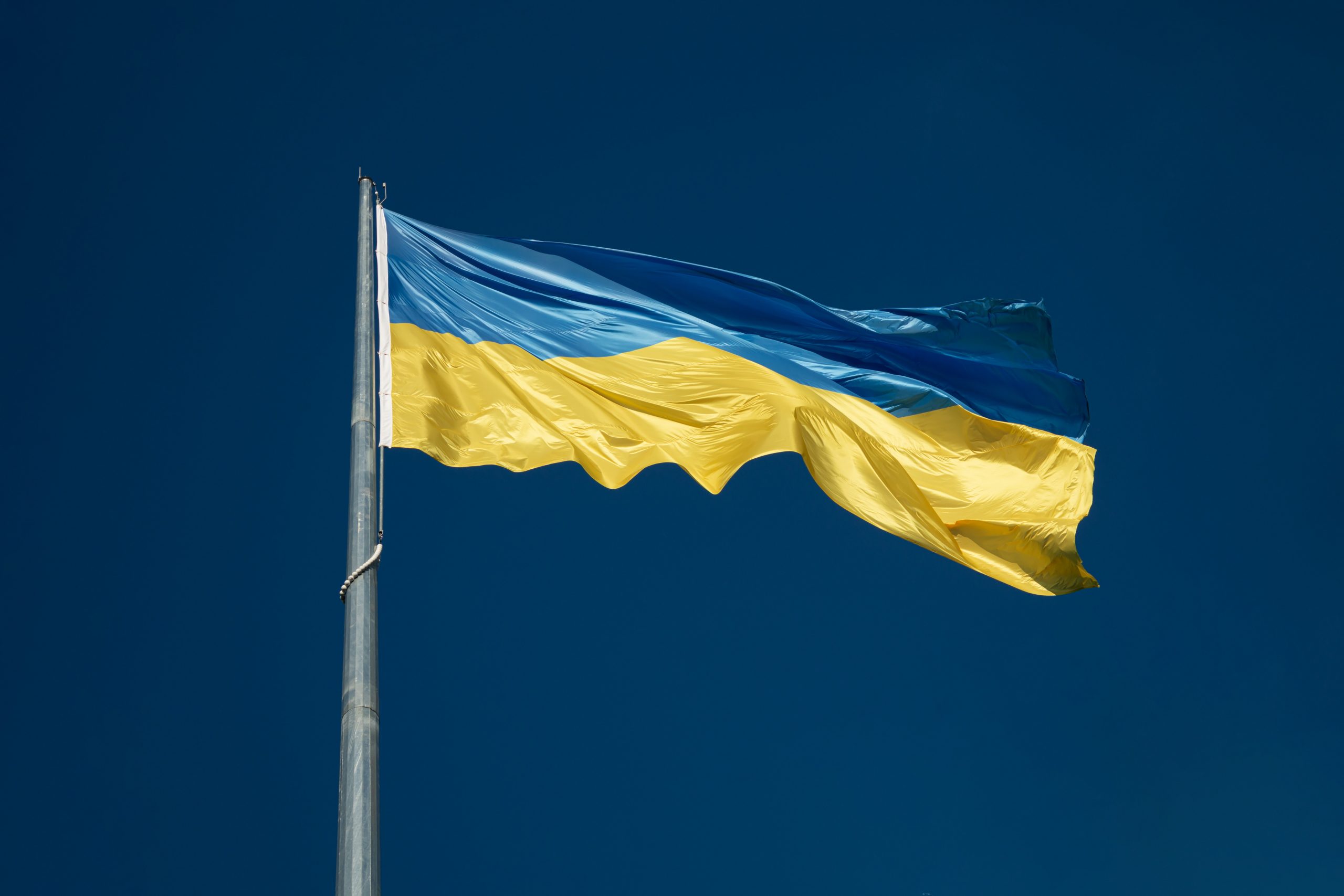 ukraineflag